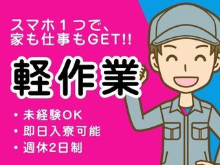 307588396