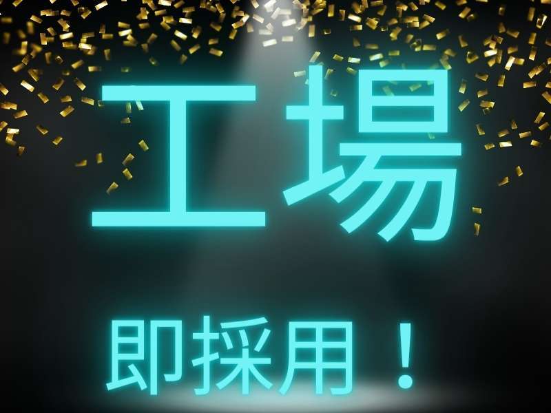 309651069